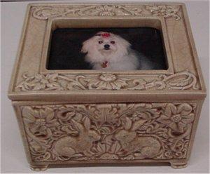 Photo Frame Box w/Lid Rabbit Design 4.75x6.75"