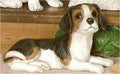 Beagle 4.5"t