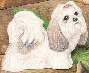 Shih Tzu 5.5"t