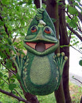 DH Frog Birdhouse 11x7"