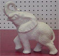 Elephant 6"