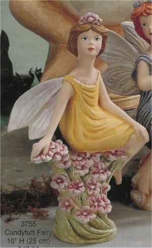 Candytuft Fairy 10"T