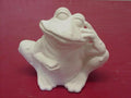 Thinking Frog 5 1/2"