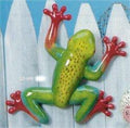Med.Wall Climbing Frog 12"L