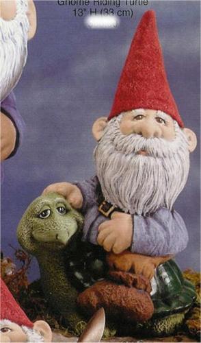 Gnome Riding Turtle 13"H
