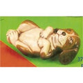 Laying Pup 6"L