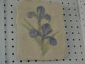 Iris Plaque 9"