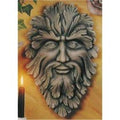 Sci. Greenman Plaque 14"H
