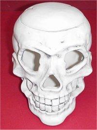 Light Up Skull 7.5"tall