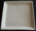 Square Plate 8x8"