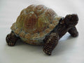 Tortoise 9" L