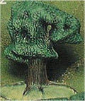 VIP Oak Tree 5.5"x6.75"